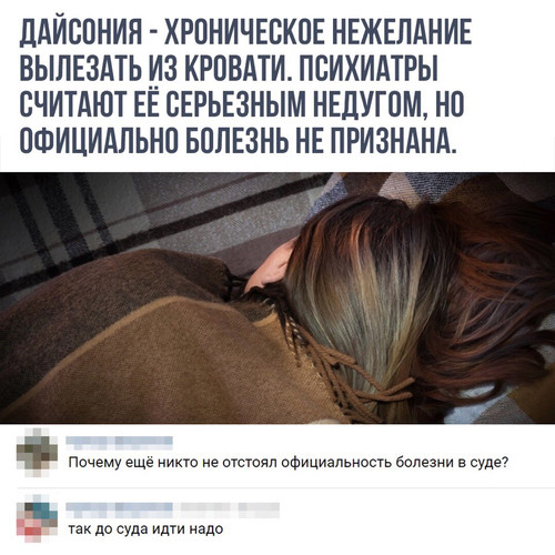 Дайсония