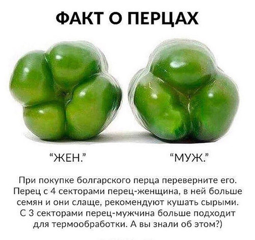 Как выбрать перец